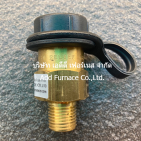 Fisher H110-250 Relief Valve